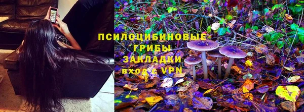 прущая мука Алексин