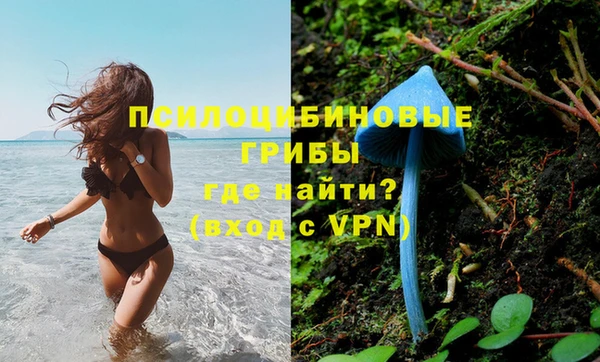 прущая мука Алексин
