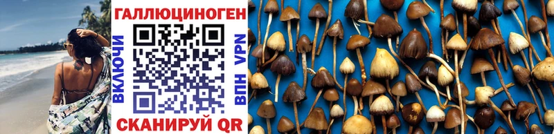 продажа наркотиков  Кукмор  Псилоцибиновые грибы Magic Shrooms 